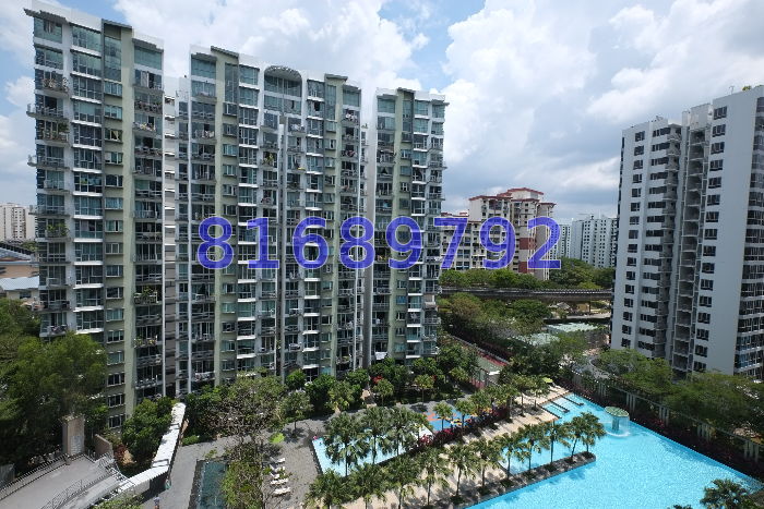 Park Green (D19), Condominium #46493832